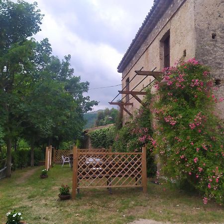 Agriturismo Colloreto Morano Calabro Exteriör bild