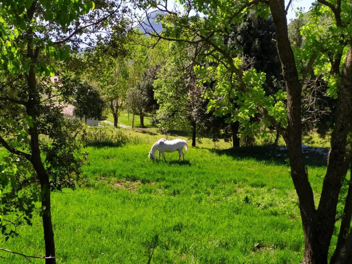 Agriturismo Colloreto Morano Calabro Exteriör bild