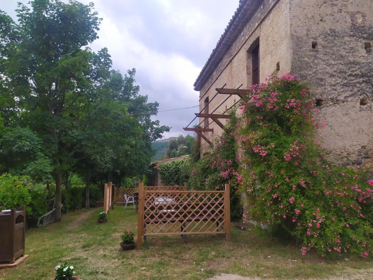 Agriturismo Colloreto Morano Calabro Exteriör bild