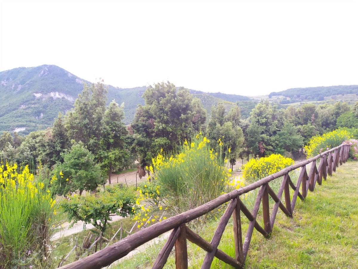 Agriturismo Colloreto Morano Calabro Exteriör bild
