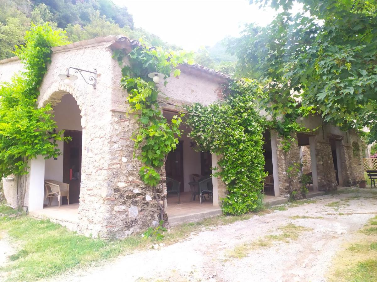 Agriturismo Colloreto Morano Calabro Exteriör bild