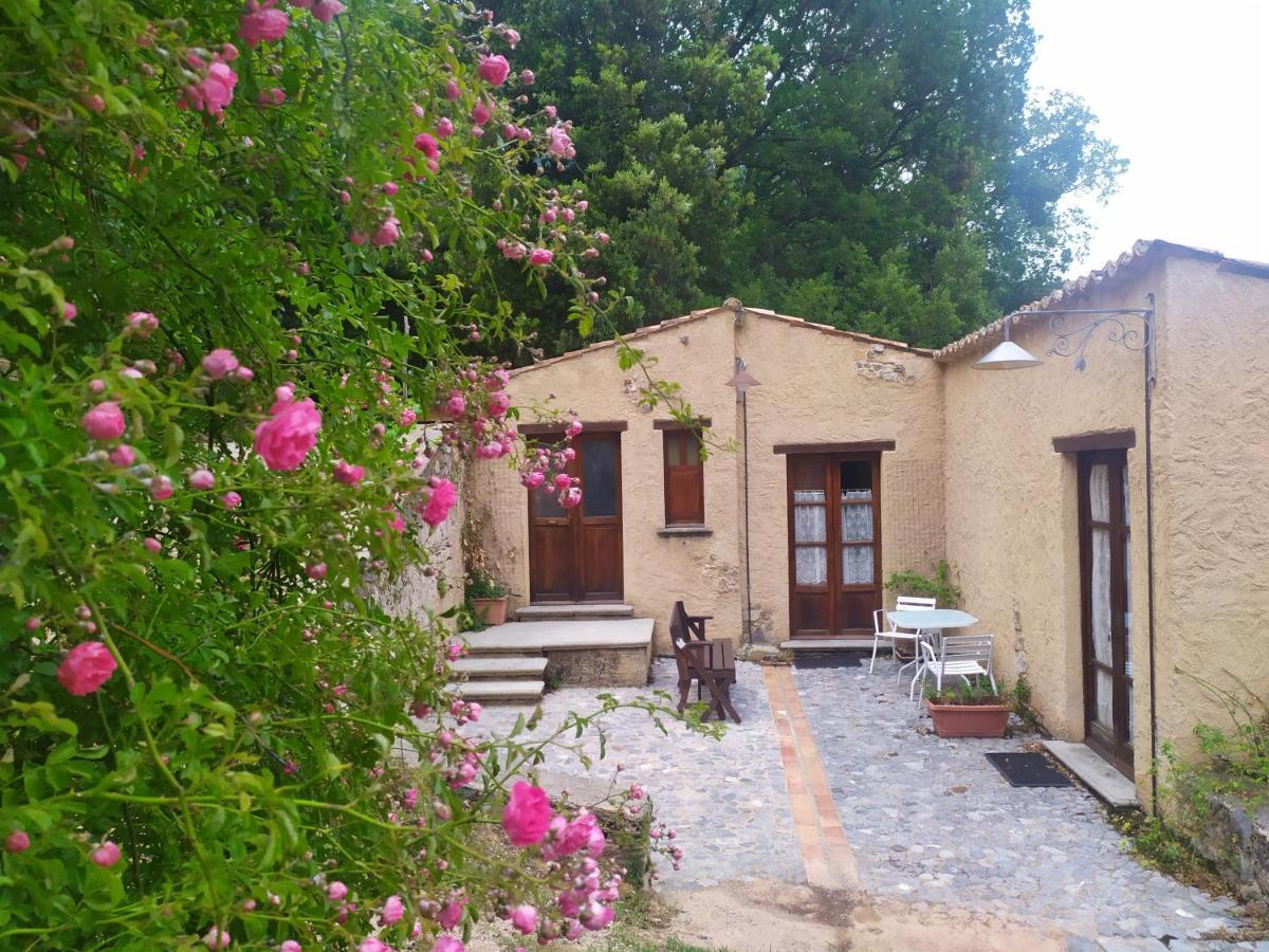 Agriturismo Colloreto Morano Calabro Exteriör bild
